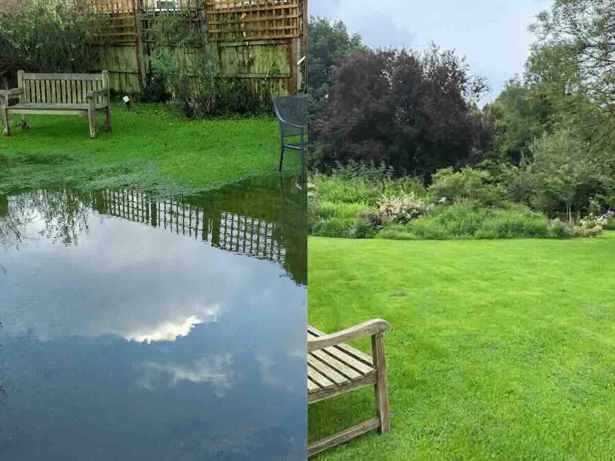 A before and after image of rain pooling up on a lawn.