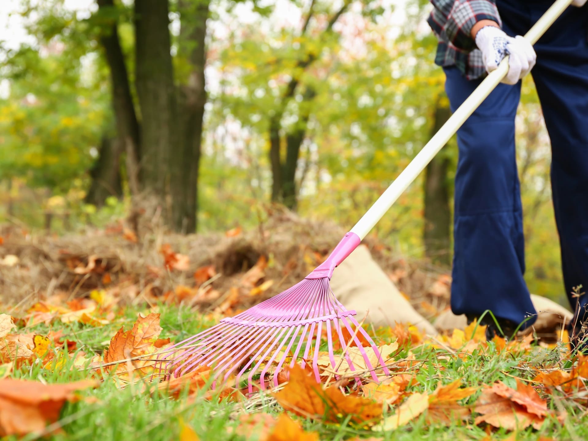spring clean up